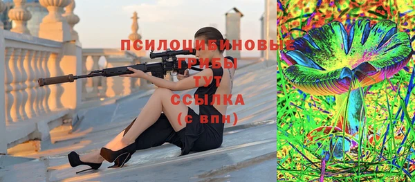 ГАЛЛЮЦИНОГЕННЫЕ ГРИБЫ Алзамай