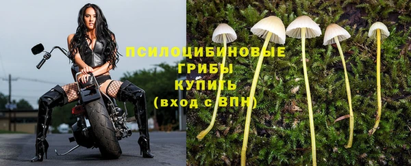 шишки Алексеевка