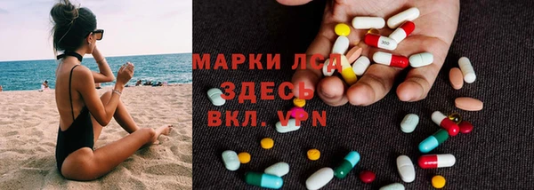 ГАЛЛЮЦИНОГЕННЫЕ ГРИБЫ Алзамай