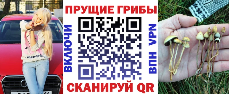 Галлюциногенные грибы Psilocybine cubensis  нарко площадка Telegram  Миасс 